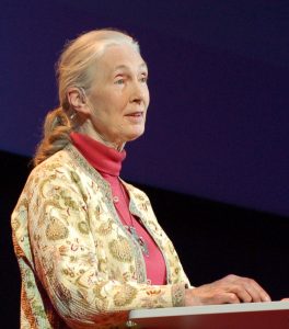 Jane Goodall her religion politics and belief in Bigfoot