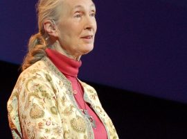 Jane Goodall her religion politics and belief in Bigfoot